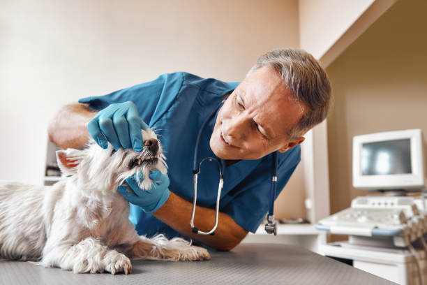 Best After-Hours Emergency Dentist in Lyndhurst, OH